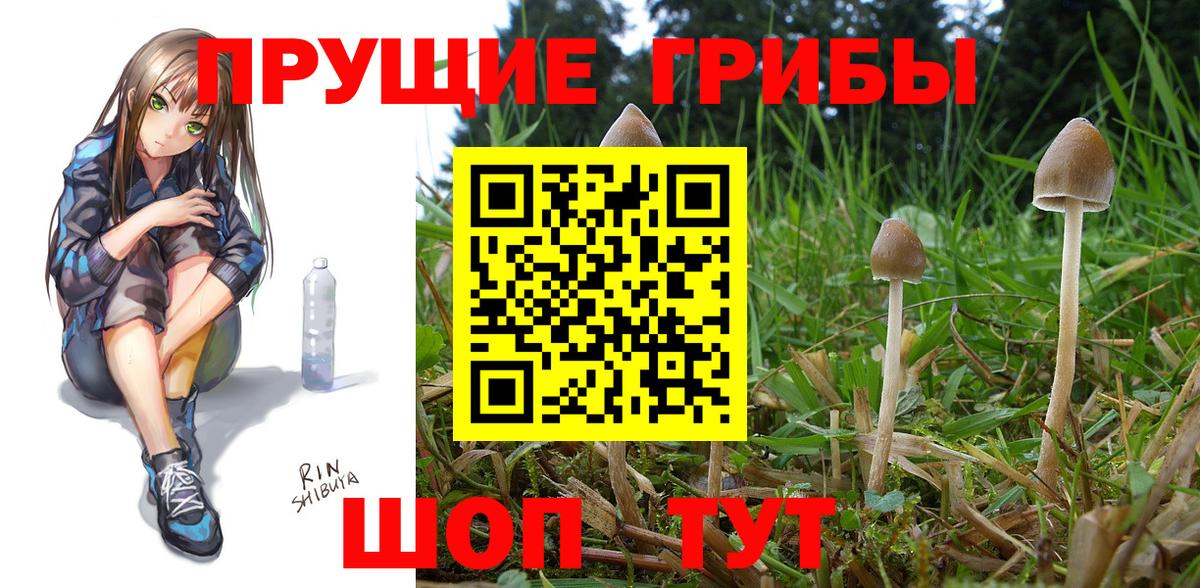 Галлюциногенные грибы MAGIC MUSHROOMS  Вход с VPN  Учалы 